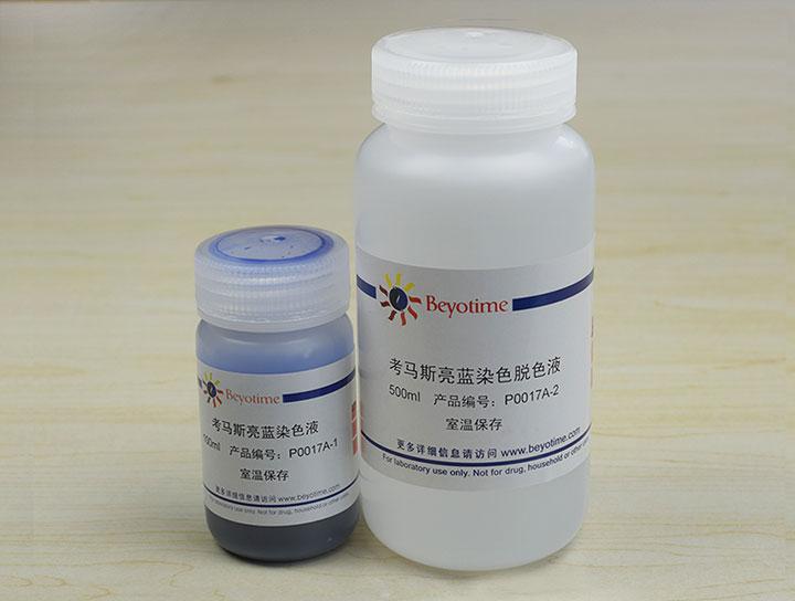 考马斯亮蓝染色试剂盒(常规法)